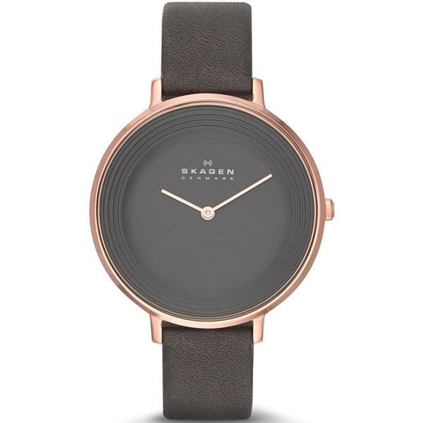 skagen-skw2216.jpg