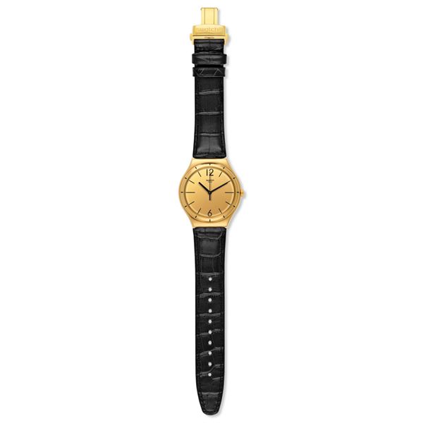 swatch-ywg100-2749951-21-b.jpg