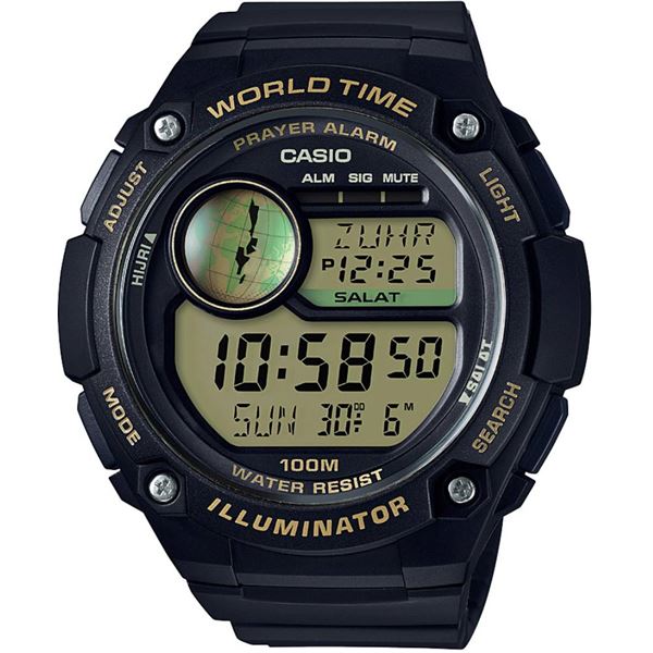 casio cpa100