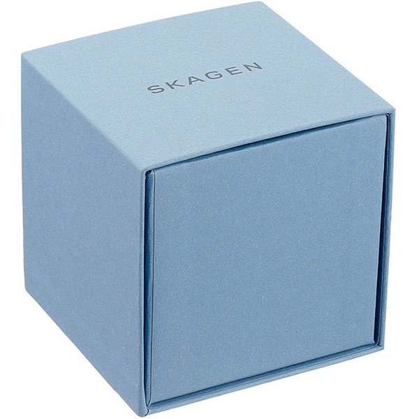 skagen-kutu.jpg