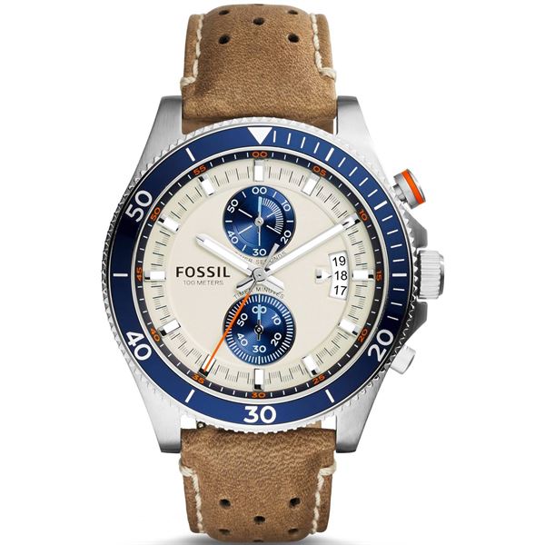 fossil-ch2951.jpg