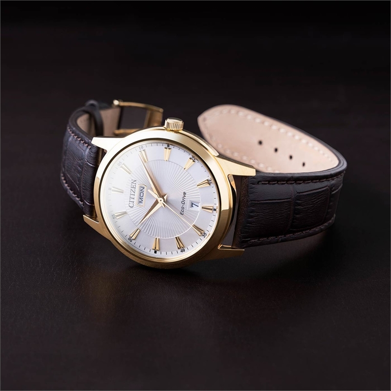 citizen-aw0102-13a_3.jpg