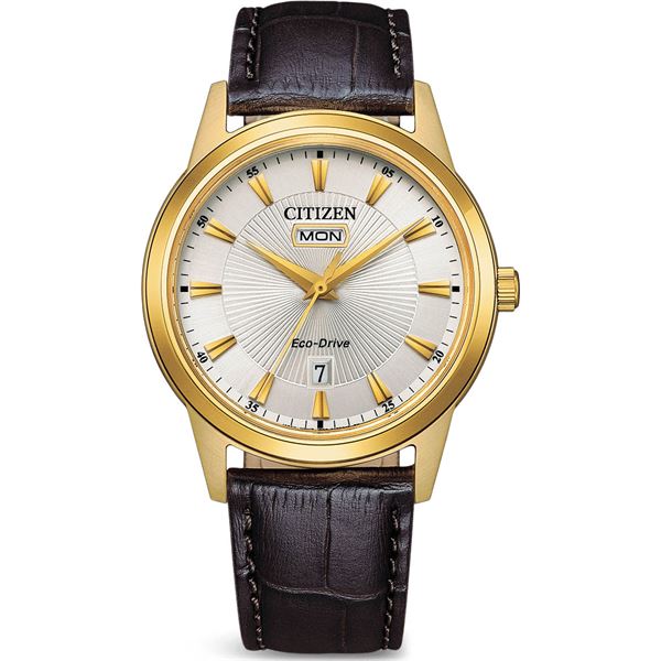 citizen-aw0102-13ae.jpg