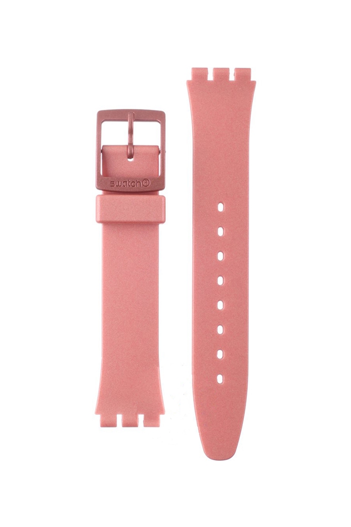 Swatch Saat Kordonu Agp154 
