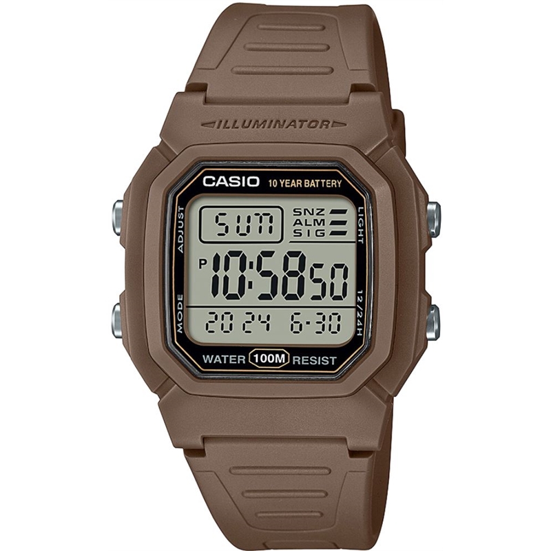 w-800h-5avdf.jpg