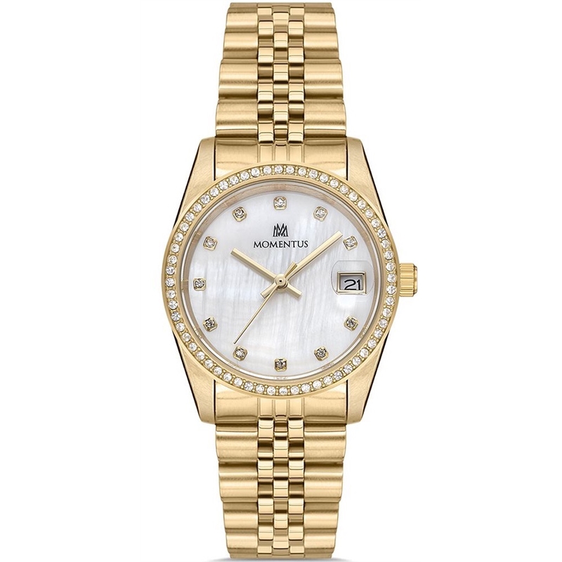 momentus-sw131g-09sg.jpg
