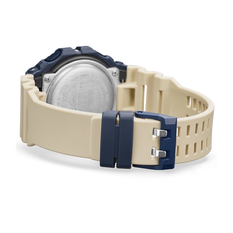 gbx-100tt-2dr_4.jpg