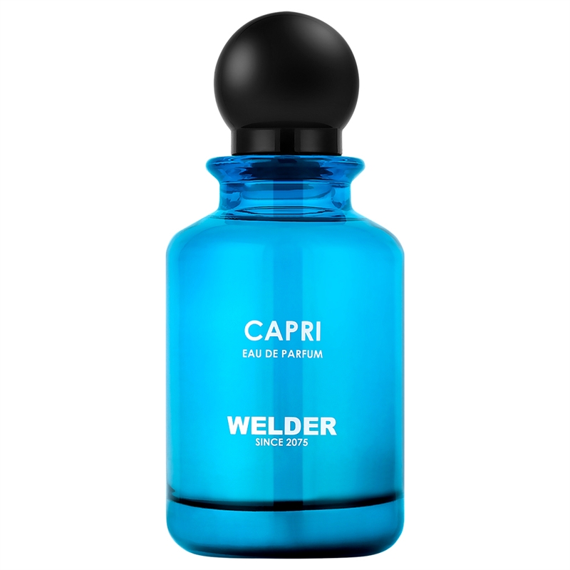 welder-wwp4001.jpeg