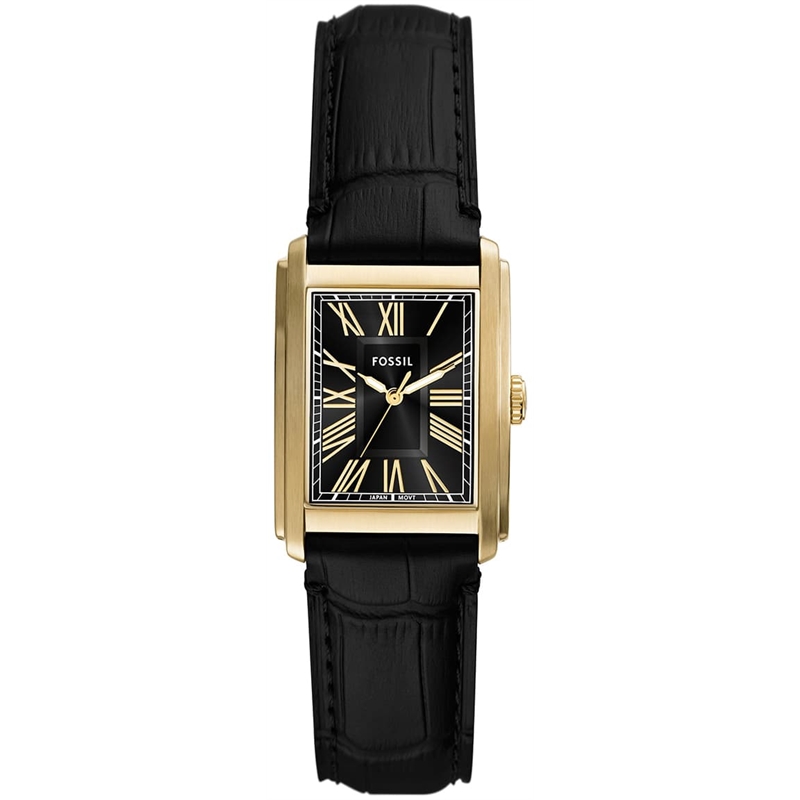 fossil-ffs6091.jpeg