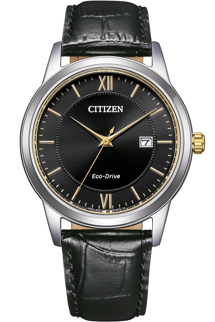 Citizen Aw1784-16E Erkek Kol Saati
